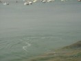 /album/fotos-de-cv/dsc00963-jpg/